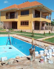 369639_received-1692461994152616_739x1232